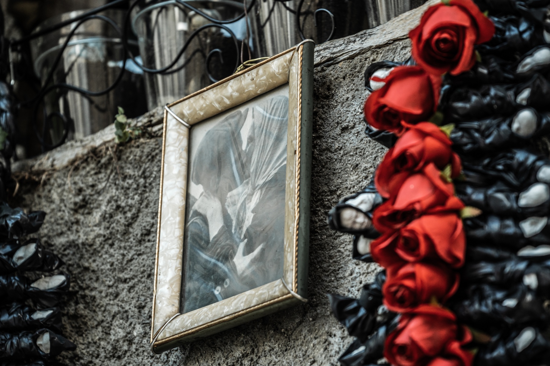 Ritratto incorniciato con rose rosse